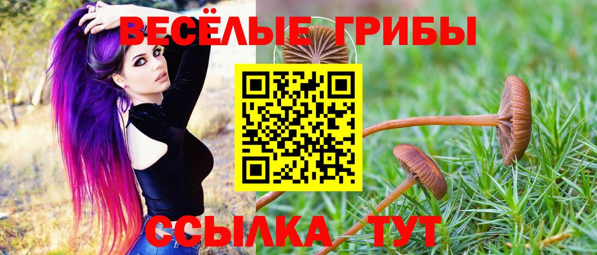 МЕФ   Соль-Илецк  Лсд 25  Cocaine  Вход с VPN  Канабис  Меф МЯУ МЯУ  ГАШ  ЭКСТАЗИ 