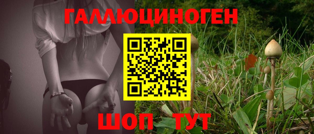 Галлюциногенные грибы GOLDEN TEACHER  Галлюциногенные грибы мицелий  купить наркоту  Соль-Илецк  Вход с VPN 